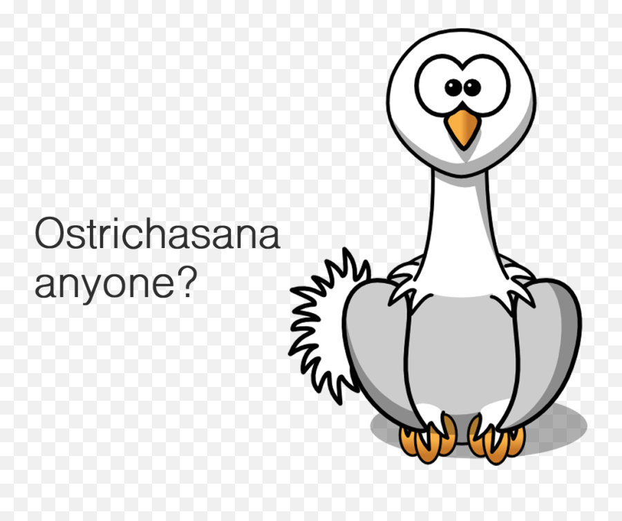 Know The Ostrich U2014 Yoga Set Free - Clipart Png Ostrich Cartoon Png,Ostrich Png
