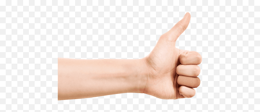 Ekco Hand Therapy - Hand Png,Hand Transparent