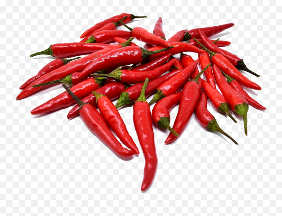 Download Chilli Peppers - Chili Pepper Full Size Png Pepper Transparent Chilli Png,Red Pepper Png