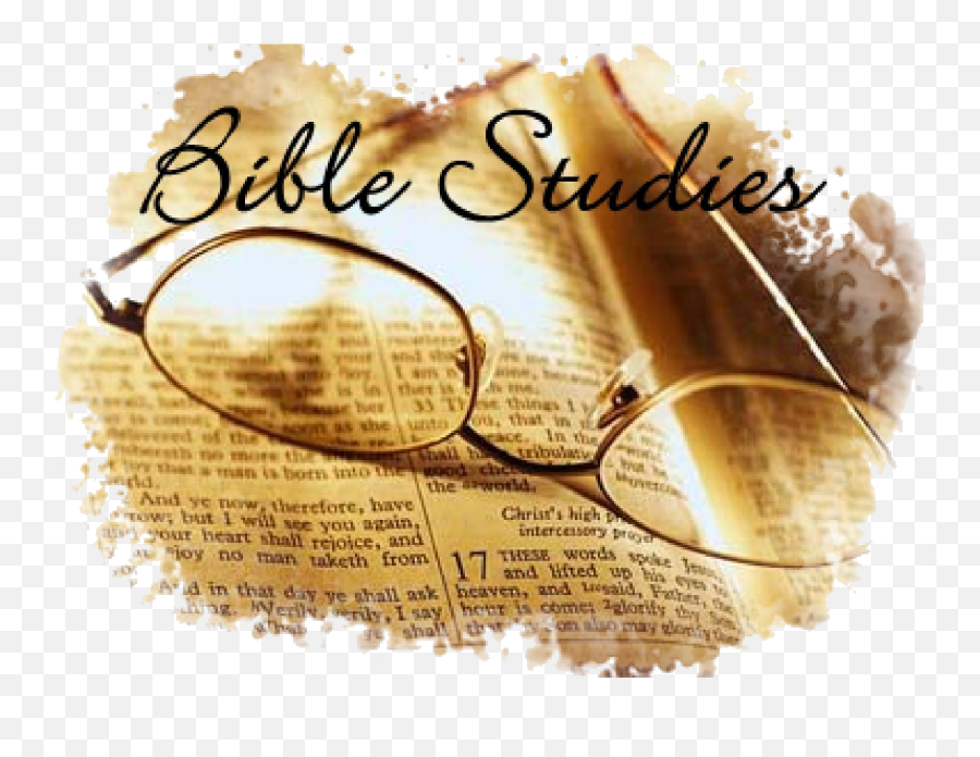 Bible Study - Transparent Bible Study Png,Bible Study Png