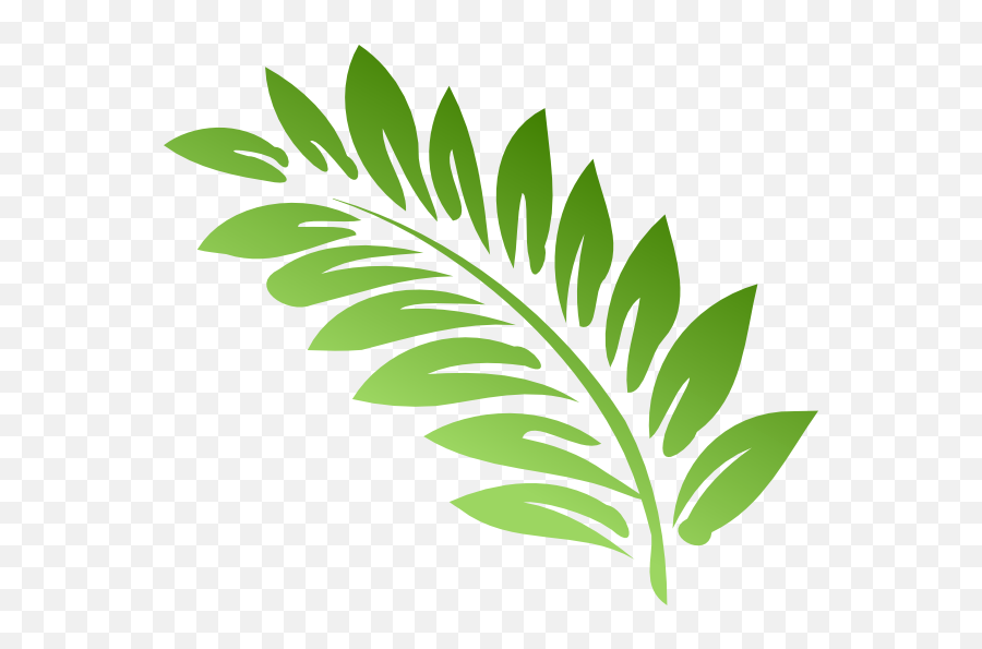 Ferns Png - Fern Clipart,Fern Leaf Png