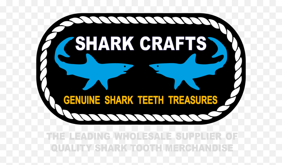 Sharkcrafts - Squaliform Sharks Png,Shark Teeth Png