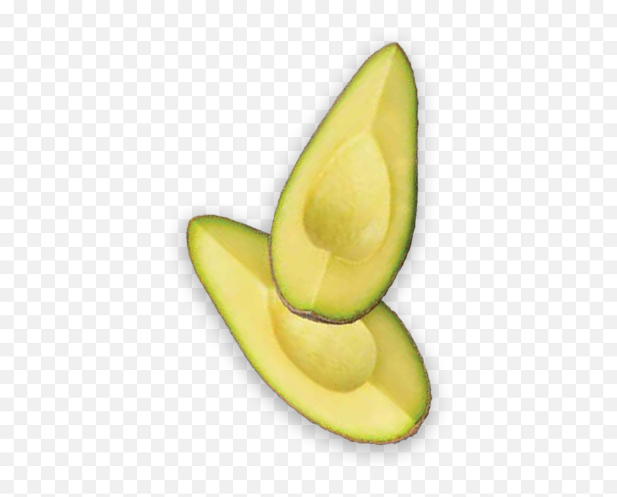 Avocado Nutrition Health Benefits - Superfood Png,Avacado Icon