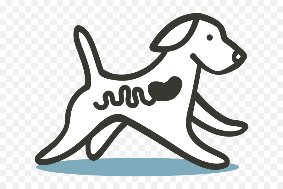 Advice For Healthy Digestion In Dogs Lilyu0027s Kitchen - Healthy Dog Icon Png,Digestive System Icon