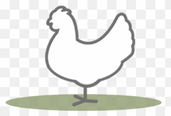 Producer Resources - GAP Certification Global Animal png