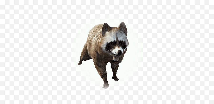 Maroon Raccoon - Raccoon Monster Png,Racoon Icon