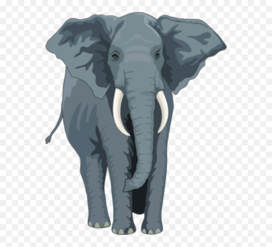 Download Elephant Clipart Suggestions - Elephant Front View Clipart Png,Elephant Clipart Transparent Background