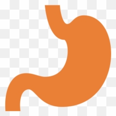 Moolchand Best Gastroenterology Gi Hospital Top - Language png