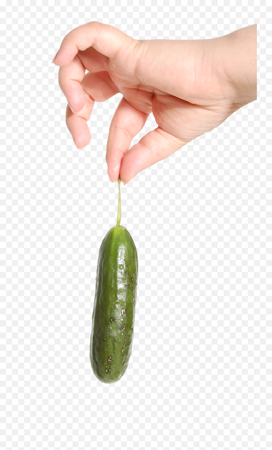 Hand Holding Cucumber Png Image - Pngpix Hand Holding Pickle Png,Hand Holding Png