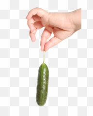 Hand Holding Cucumber Png Image - Pngpix Hand Holding Pickle Png,Hand Holding Png