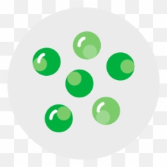 Vegetables - Vitamin K Guide Dot png