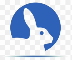 Wsava 2021 - One Community Care Voice Domestic Rabbit png