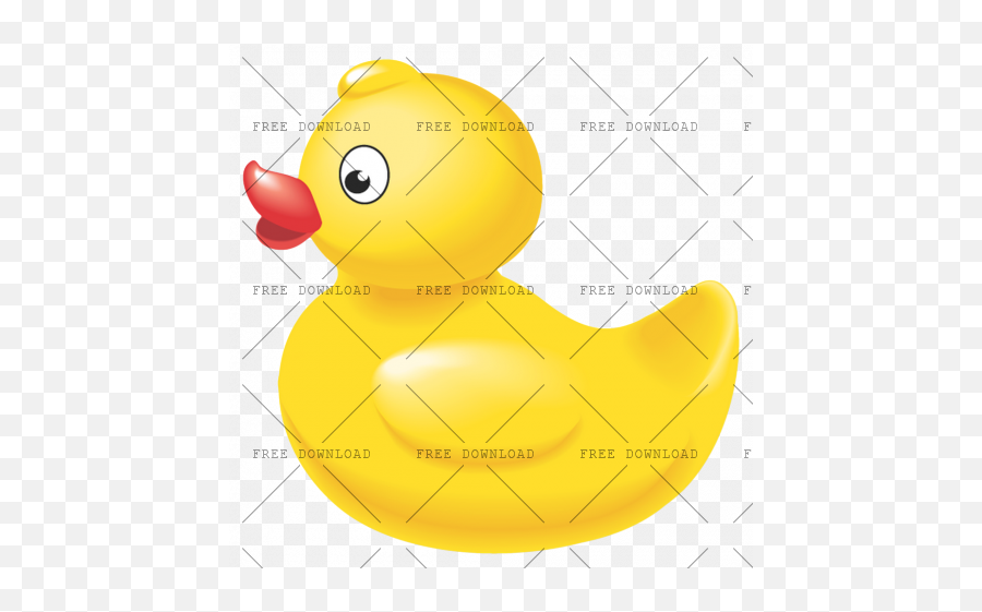 Duck Goose Swan Bird Png Image With Rubber Transparent Background