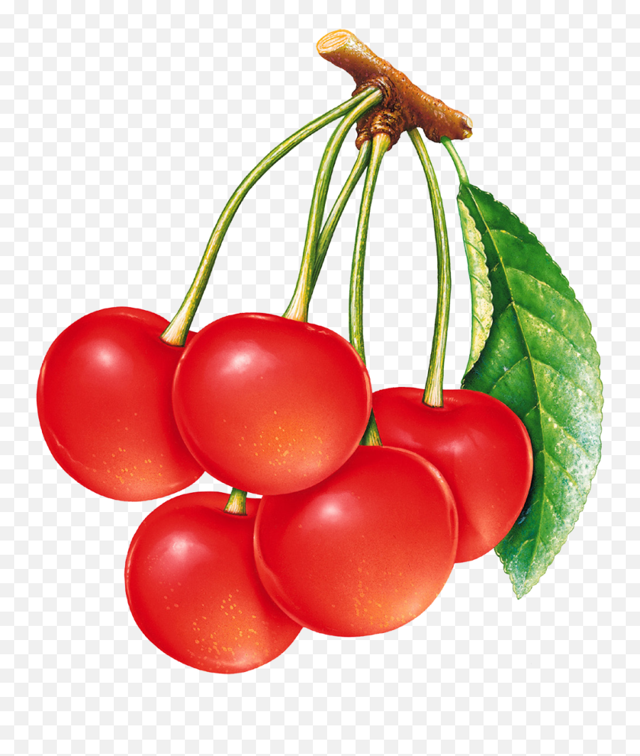 Cherries Png Image - Frutas Para Decoupage,Cherries Png
