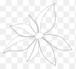 Flower Outline Imperfect - Jasmine Transparent Cartoon png