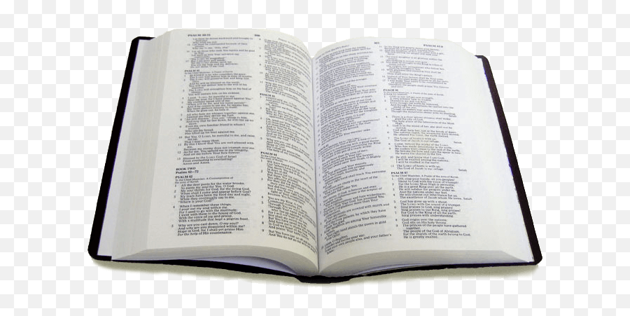 Bible Png Images Book Holy - Bible White Background Png,Bible Transparent Background