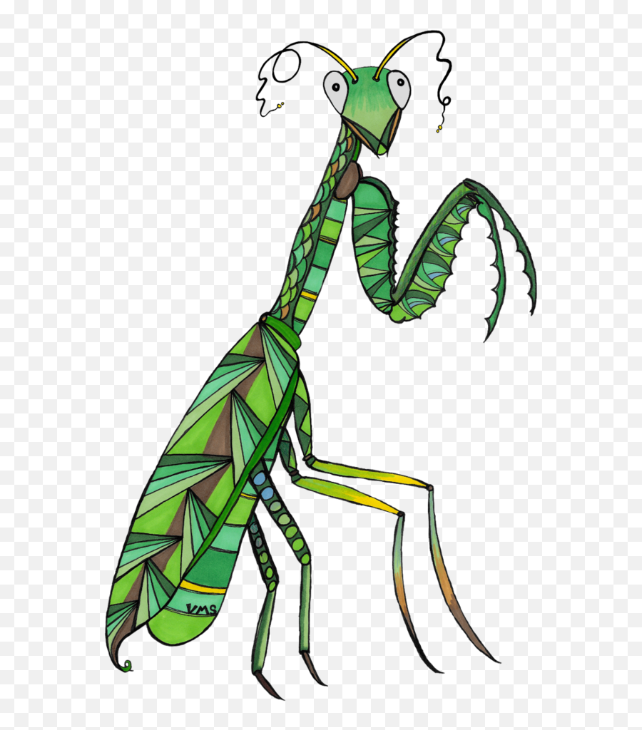 Avel The Patient Praying Mantis - Ant Png,Mantis Png