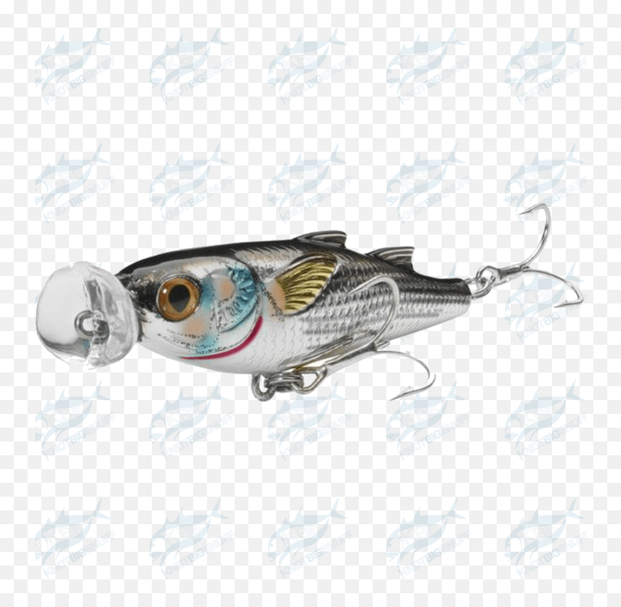 Download Mullet Popper Mup - Pull Fish Out Of Water Full Pull Fish Out Of Water Png,Mullet Png