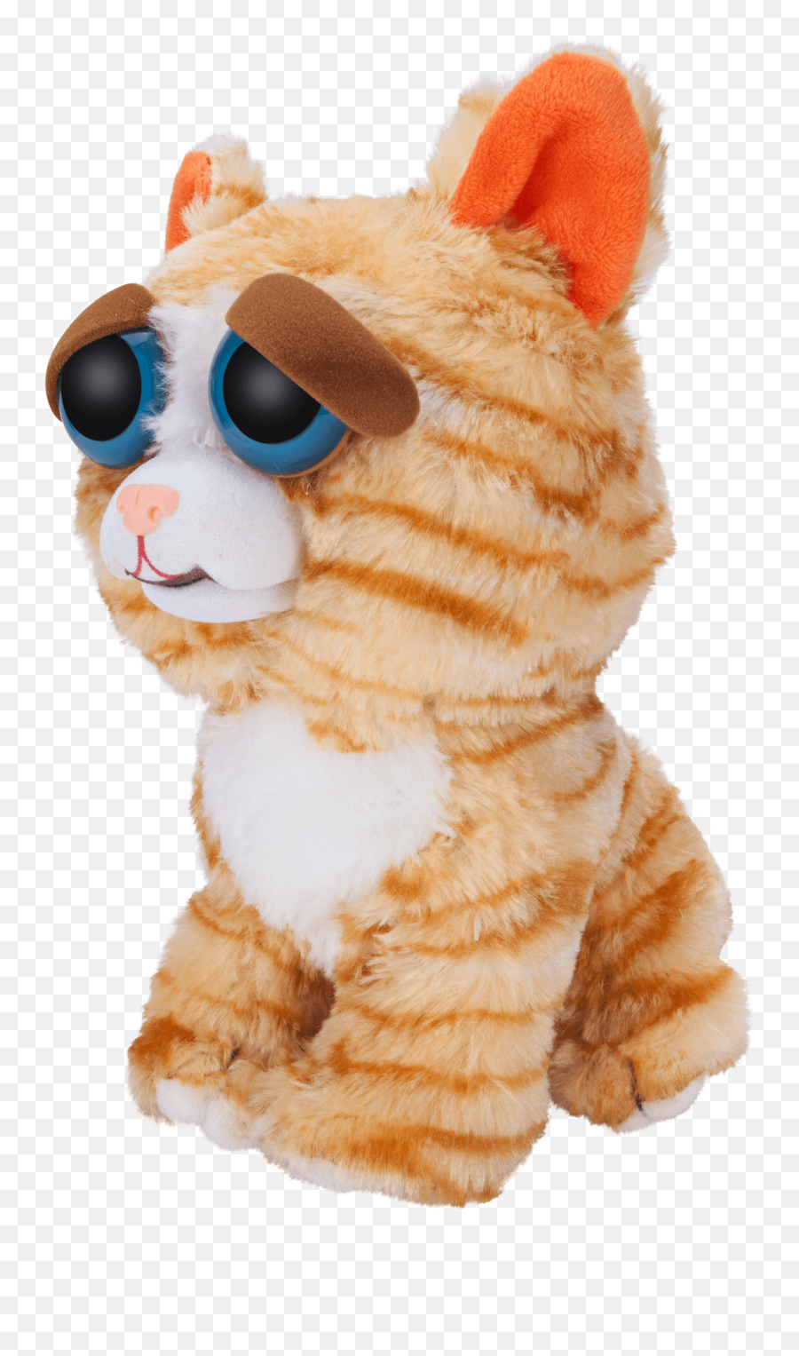 Window Box Feisty Pets Orange Cat Plush - Feisty Pets Transparent Png,Orange Cat Png