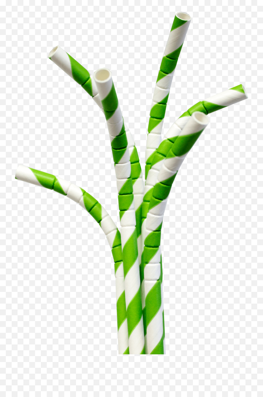 Green Striped Flex - No Background Planet Experts Drinking Straw Png,Striped  Background Png - free transparent png images 