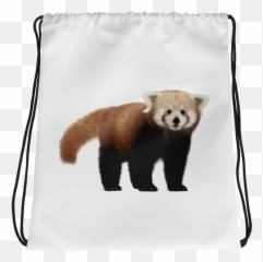 Red - Panda Print Drawstring Bag Imagens De Panda Vermelho Sem Fundo Png,Red Panda Transparent