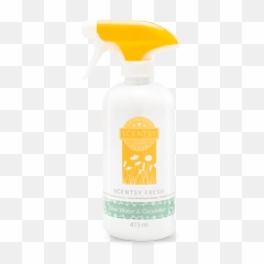 Catalogue - Blue Grotto Scentsy Counter Clean Png,Scentsy Logo Png
