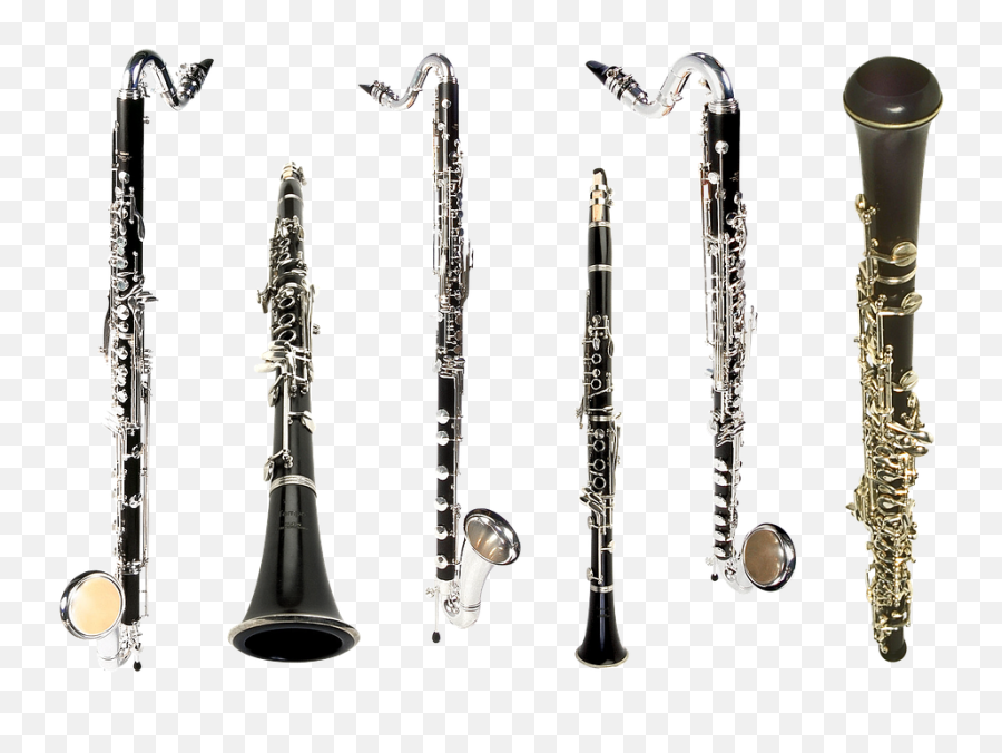 Clarinet Bass Musical - Types Of Clarinets Png,Clarinet Png