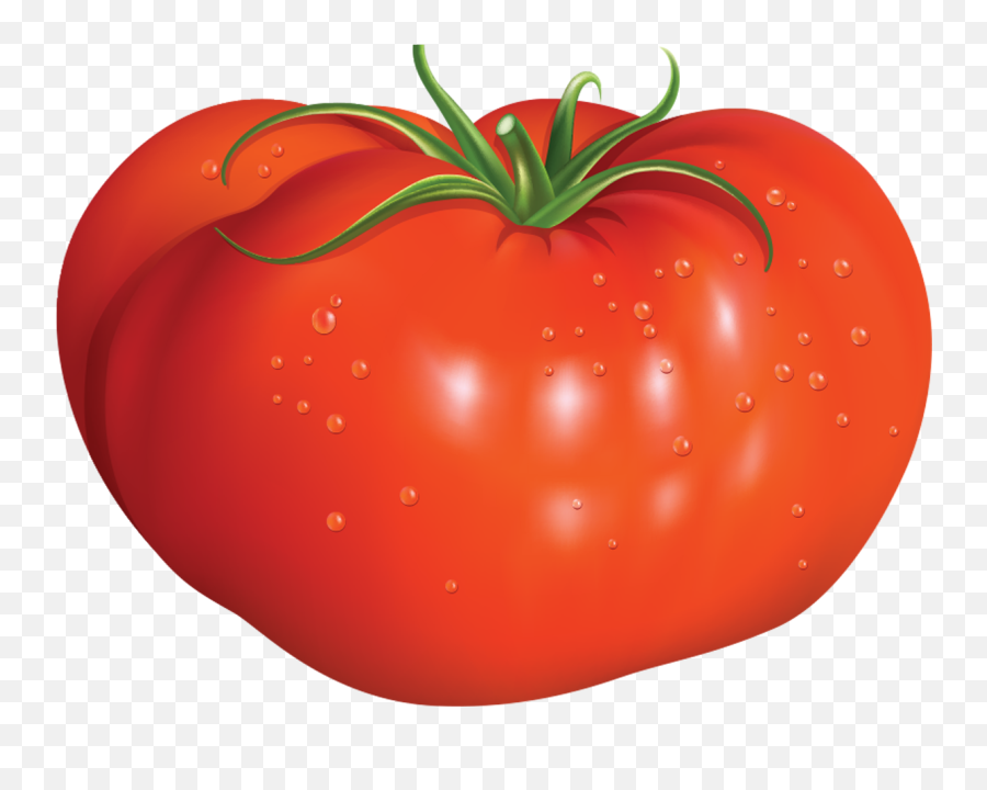 Tomato - Ripe Tomato Png,Tomato Transparent