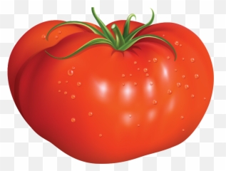 Tomato - Ripe png