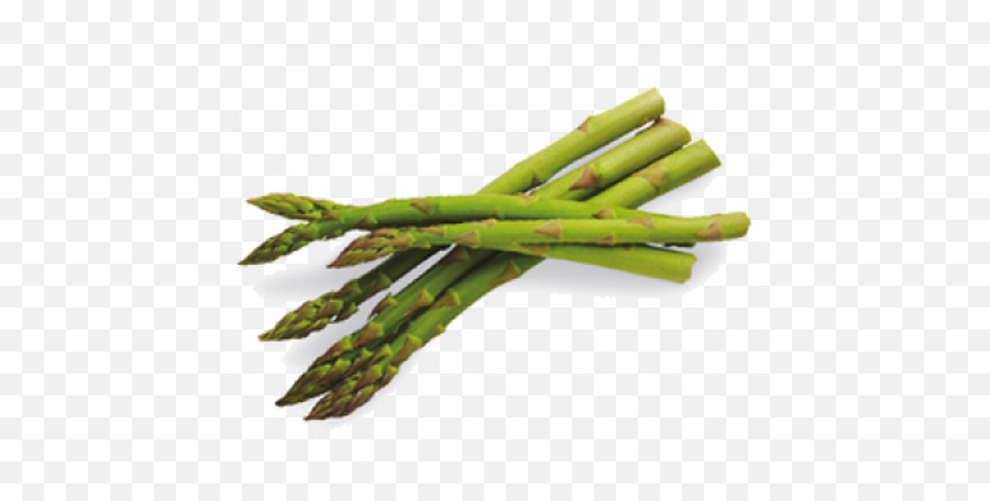 Asparagus - Long Green Vegetable Stick Png,Asparagus Png