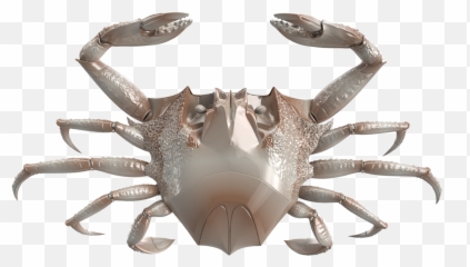 Robotic Crab - Robotic Crab Png,Crab Png