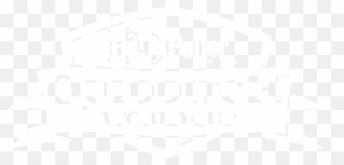 Harry Potter Video Games - Official EA Site png