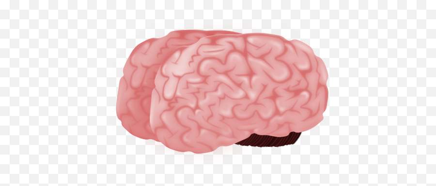 Brain Png Image - Brain,Cartoon Brain Png