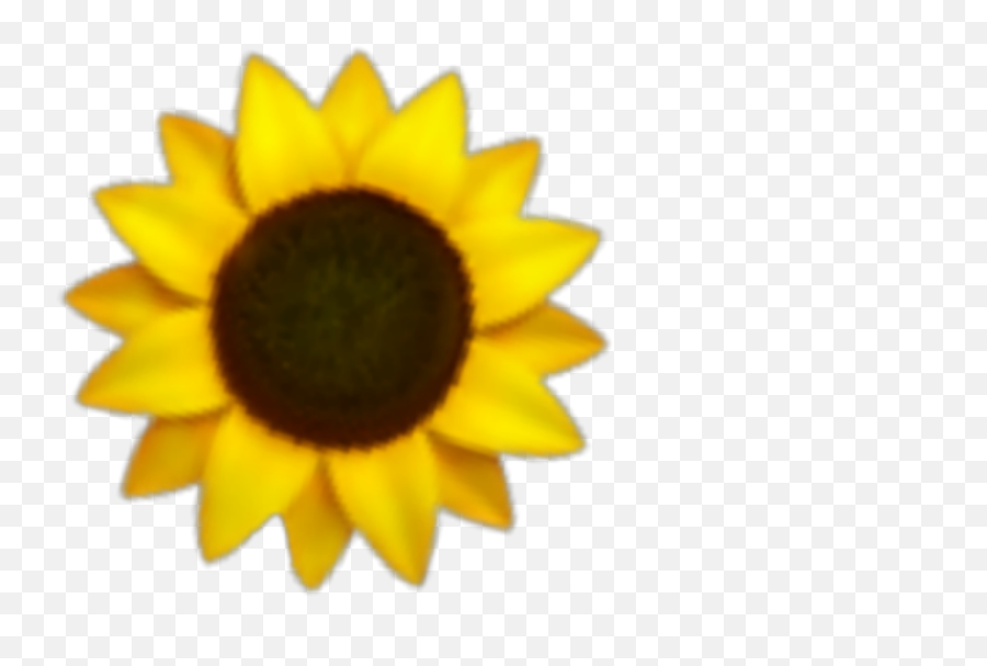 Girasol Girasoles Sticker - Small Sunflower Png,Girasol Png - free  transparent png images 