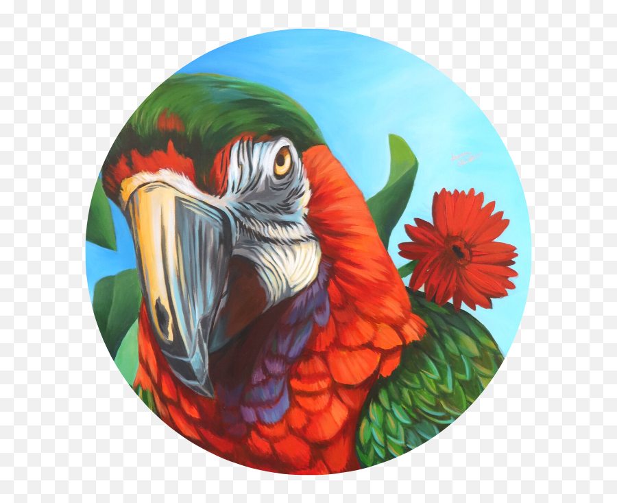 Macaw Parrot Tier Lauren Elizabeth - Painting Png,Macaw Png