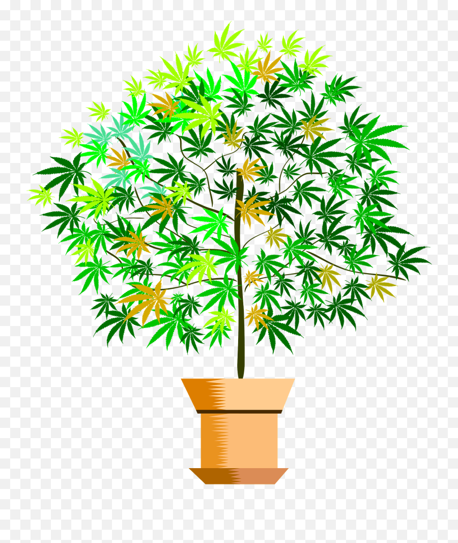 Potted Plant Clipart Free Download Transparent Png Creazilla - Clip Art,Potted Plant Png