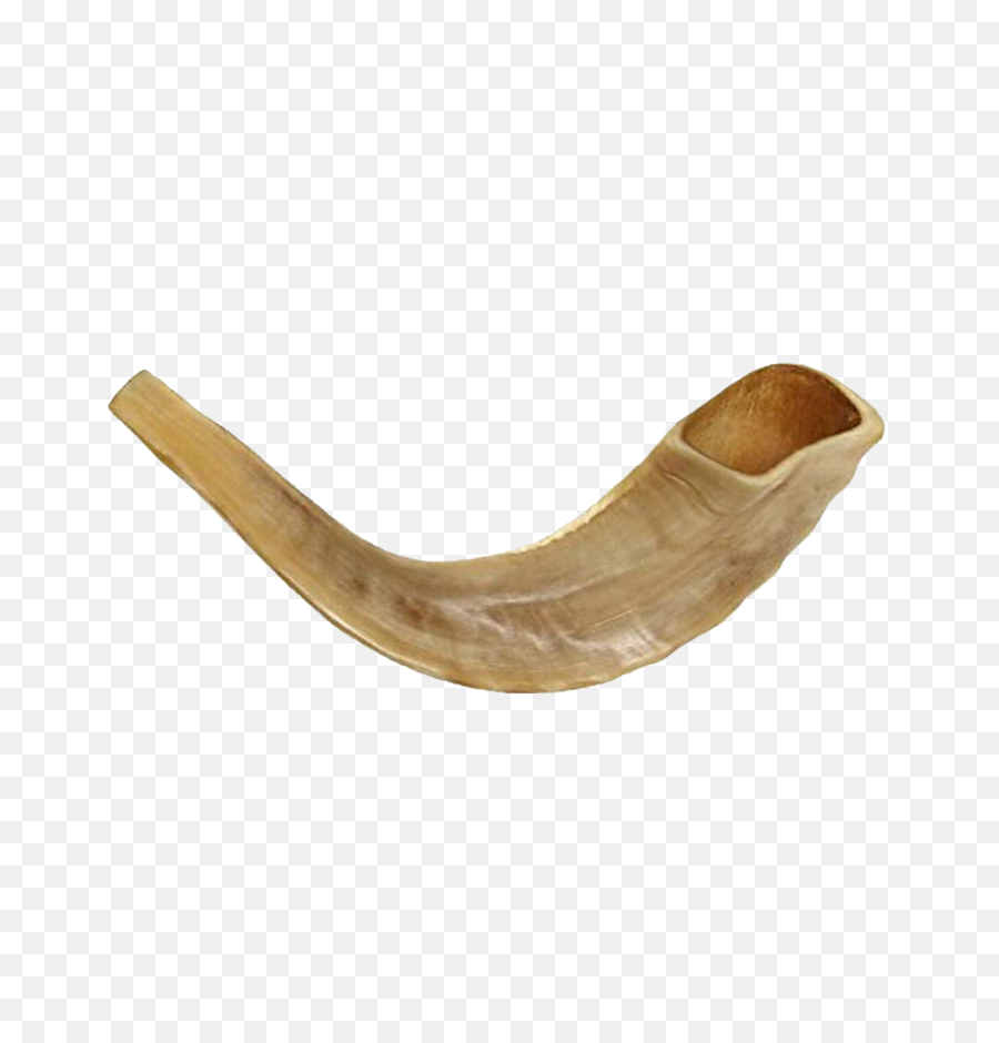 Rosh Hashanah Clipart Shofar Horn - Shofar Transparent Png,Shofar Png