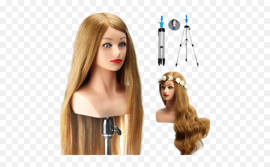 24 Training Head With Shoulder High Grade 80 Real Hair - Hair Dummy Price Png,Mannequin Head Png