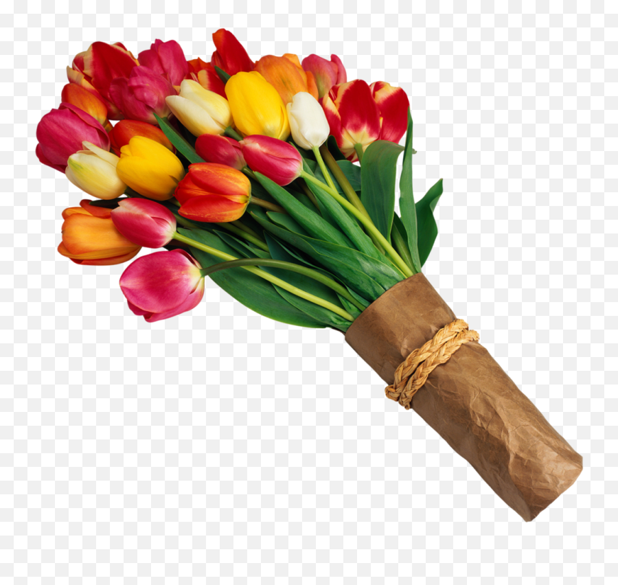 Yellow Tulips - Retirement Wishes In Telugu Png,Flowers Bouquet Png
