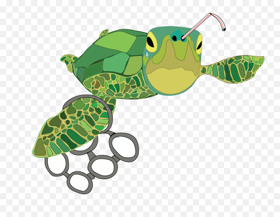 Stop Sucking A Case For Why Plastic Straws Need To Go - Turtle In Plastic Clipart Png,Plastic Png