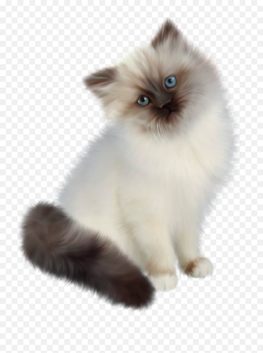 Kitten Clipart Transparent Background - Persian Ragdoll Siamese Cat Png,Cat With Transparent Background