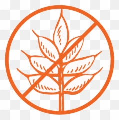 Home Page - Simple Kneads Wifi Symbol With Line Through png