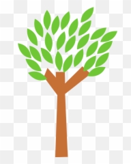 Finding Insight Creating Branches - Make My Faith Journey png