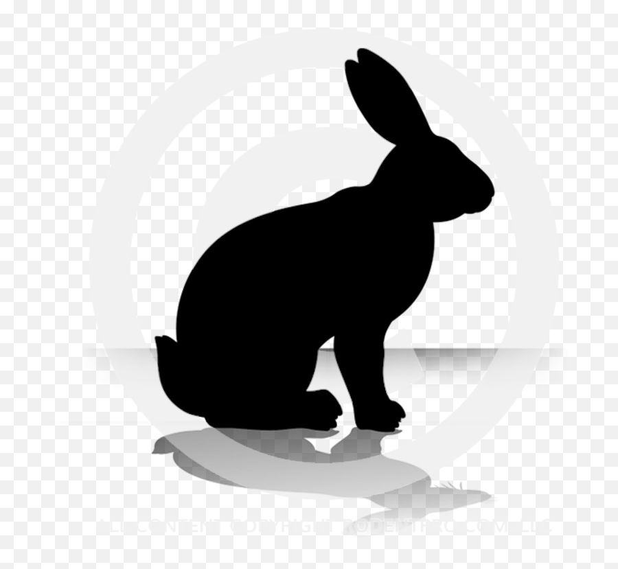 Small Rabbits 1 Per Bag - Gedicht Abends Schleicht Auf Leiser Tatze Png,Rabbit Icon