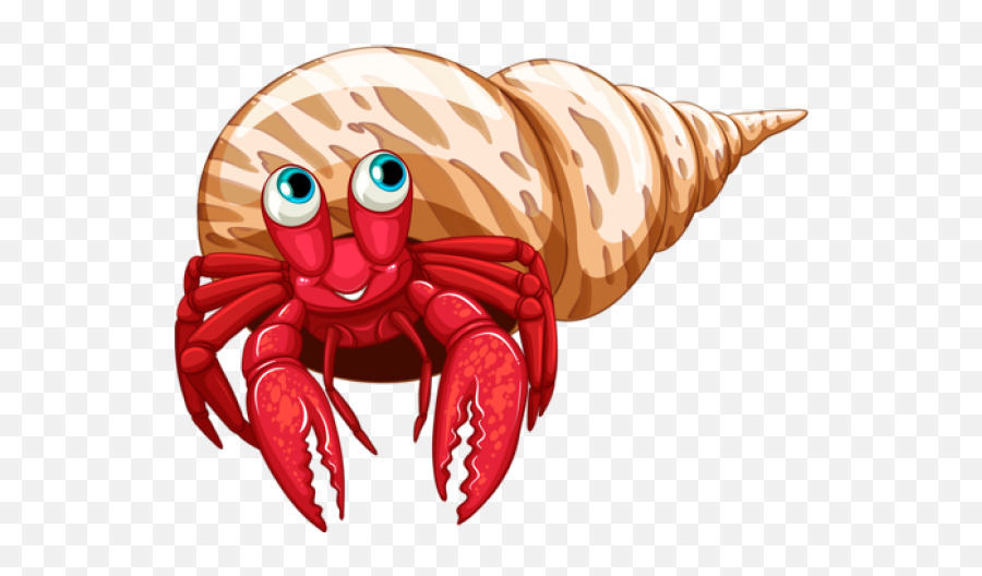 Download Hermit Crab Clipart Sea Creature - Dibujos De Transparent Background Hermit Crab Clipart Png,Crab Transparent Background