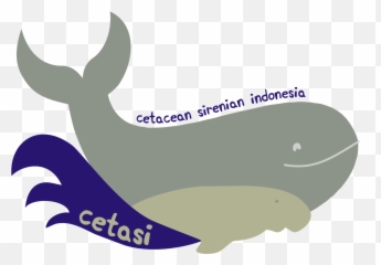 Download Hd Sperm Whale Clipart Harpoon Transparent - Clip Art Png,Whale Clipart Png