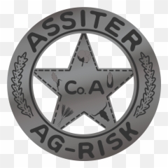 Cinco Peso U201ctexas Rangeru201d Protection Assiter Ag Risk - Badge Png,Texas Star Png