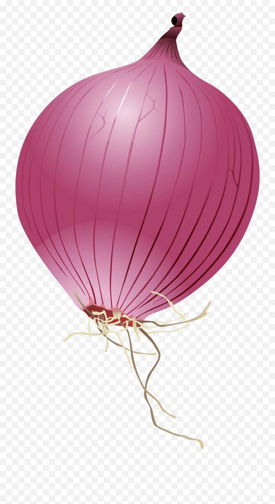 Purple Cartoon Onion Download Free Image - Onion Cartoon Onion Cartoon Png,Onion Transparent Background