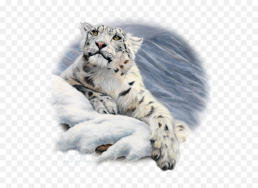 Snow Leopard Lucie Bilodeau Transparent - Transparent Snow Leopard Png,Snow Leopard Png