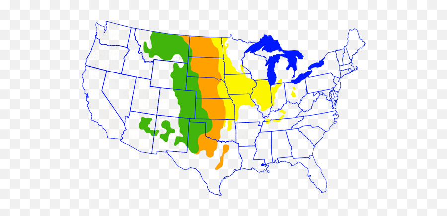 Illinois Natural History Survey Prairies - Ivory Billed Woodpecker Habitat Png,Prairie Grass Png